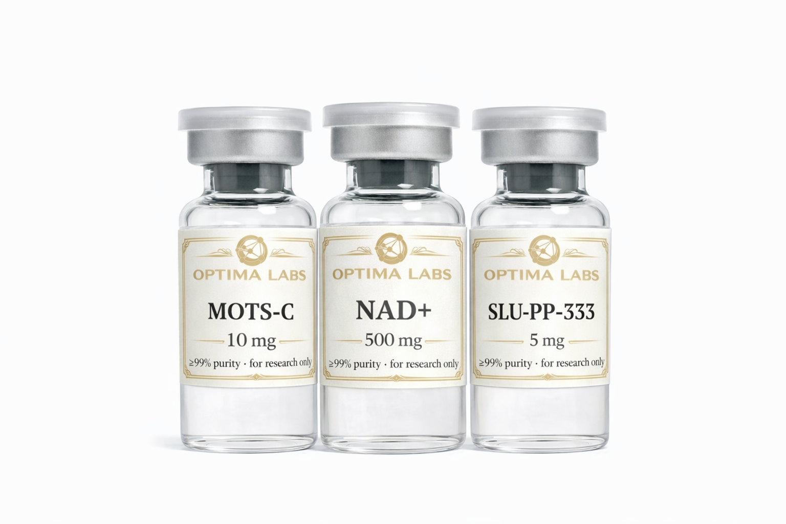 Energie et performance cellulaire